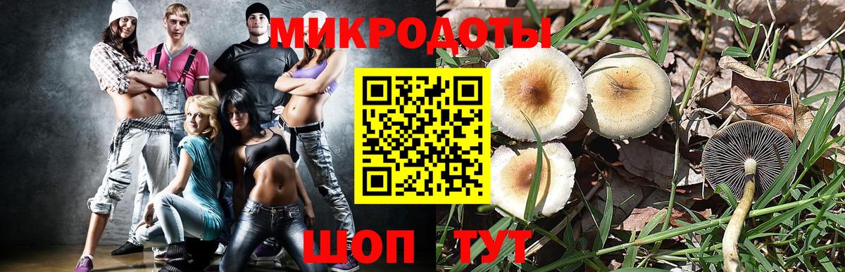 Галлюциногенные грибы Cubensis  Галлюциногенные грибы ЛСД  Гудермес  как найти закладки  Вход с VPN 