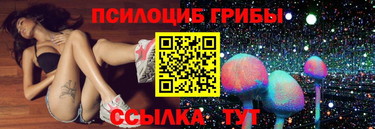 Галлюциногенные грибы Cubensis Гудермес